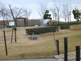 P1000554
