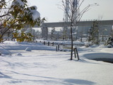 P1000572