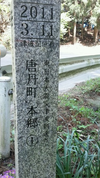 4d25a863.jpg