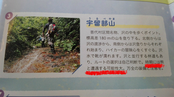 BlogPaint