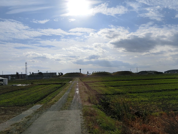 CIMG2567