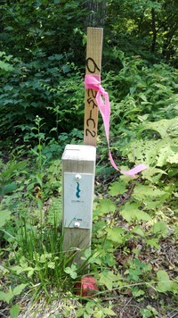 IMG_20170715_115623
