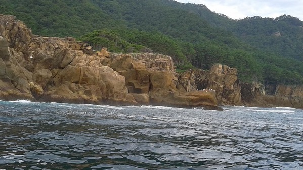 トドヶ崎