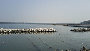 DSC_0020