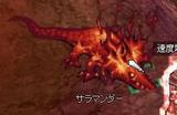 サラマンダーヤバイ