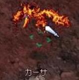 カーサヤバイ