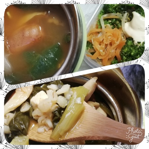 PhotoGrid_1551779031213