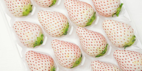 com_gen_4887948_images_n-WHITE-STRAWBERRY-JAPAN-628x314
