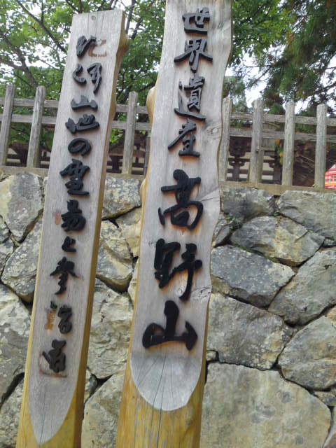 SN3J00050001