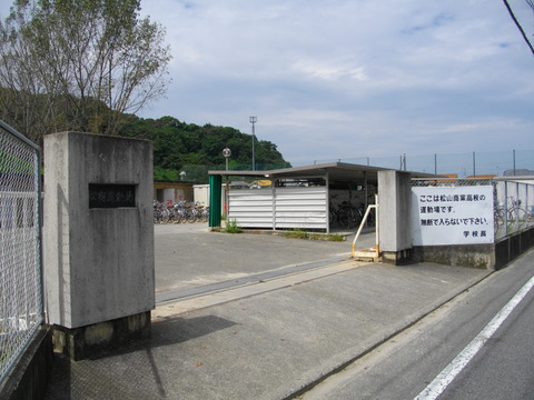 IMGP6711
