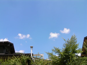 SANY0164