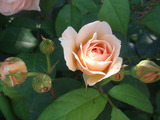 019