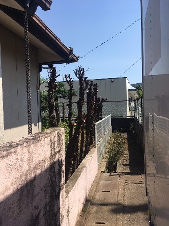 S__50003973