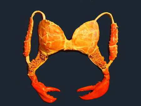 the-crab-bra