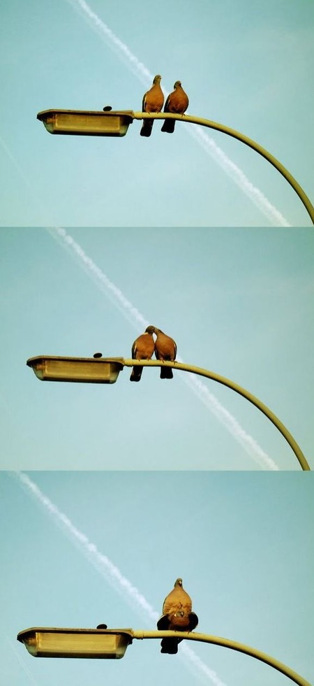 Funny_Pictures_8678