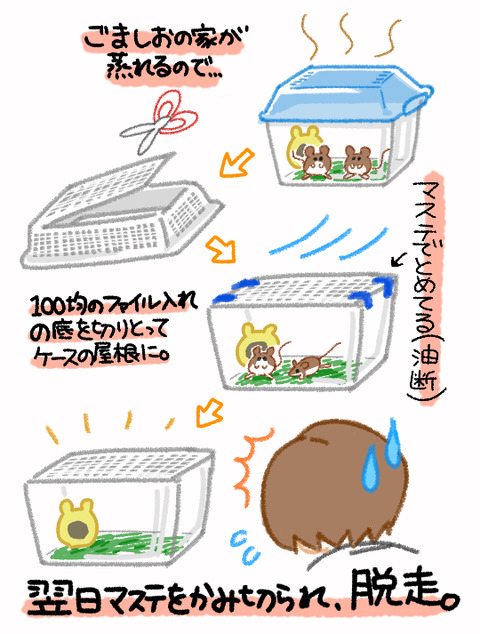 だっそう