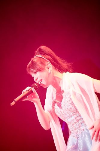 写真8