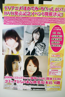 写真11