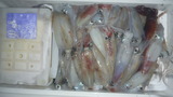 P1030482