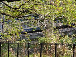 CIMG6832_1