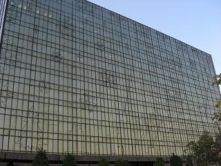 19e33c58.jpg
