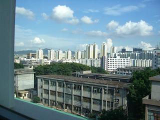 3156df50.jpg
