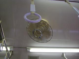 4632407d.jpg