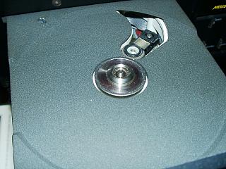 7817806d.jpg