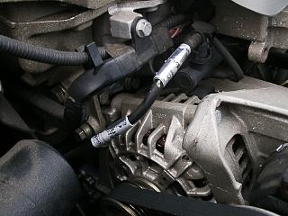 d109680d.jpg