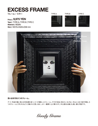 20091125excess_frame