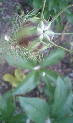 100607_0628_0001