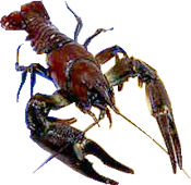 img12