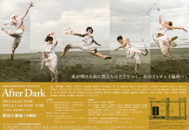 wing after dark 02
