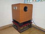 YST-SW800