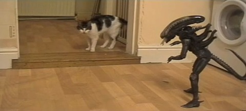 猫 vs Alien03