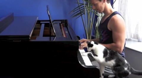 猫 ピアノを一緒に01