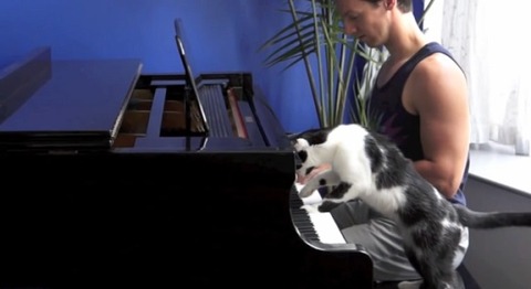 猫 ピアノを一緒に02