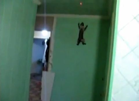 猫 レーザーポインタで壁登り06