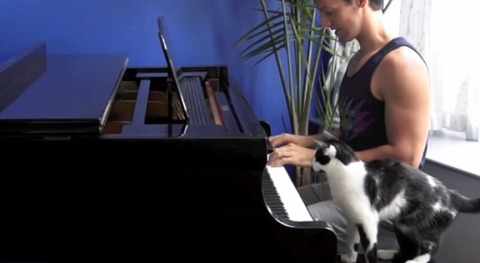猫 ピアノを一緒に00