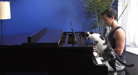 猫 ピアノを一緒に04