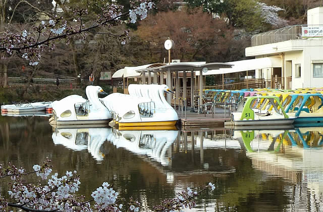 井の頭公園_スワンボート