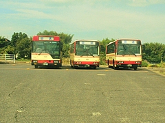 P9051612