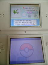 ポケモンプラチナ攻略日記その2 ギガインパクトin下田