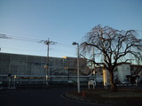 0d3084f4.jpg