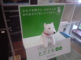 50a32d62.JPG