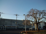8097fd80.jpg