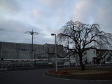 a1208a77.jpg