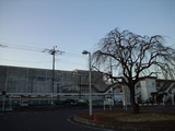 f01150b1.jpg