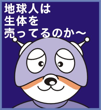 223216ed.jpg