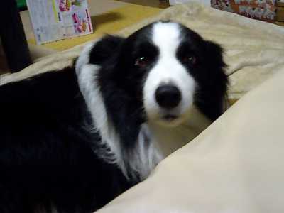 a09f7d89.jpg